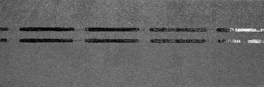 Коньково-карнизная черепица Docke, Premium, Черника купить в Красноярске